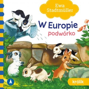 Podwórko Królik W Europie Ewa Stadtmüller